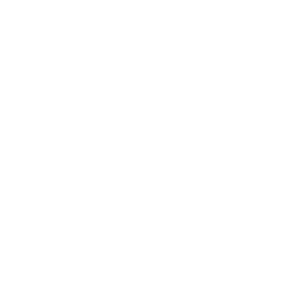 Technische​ Implementierung​