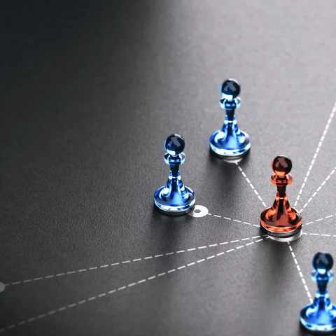 organizational consulting