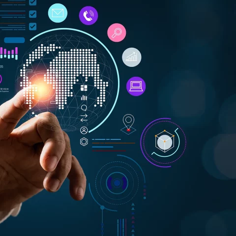 portfolio consulting