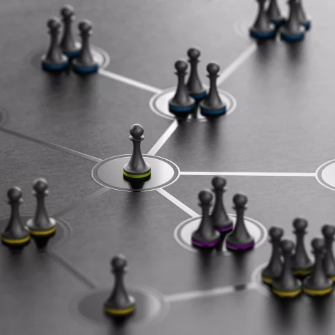 organization governance